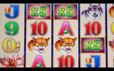 MASSIVE 125X Multiplier Buffalo Deluxe @ Chumash Casino #125X #slotman #casino #slotmachines