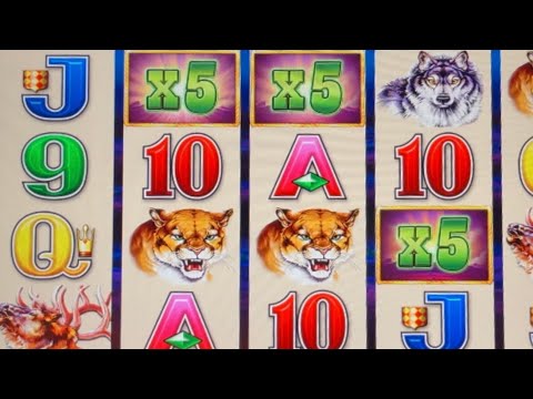 MASSIVE 125X Multiplier Buffalo Deluxe @ Chumash Casino #125X #slotman #casino #slotmachines