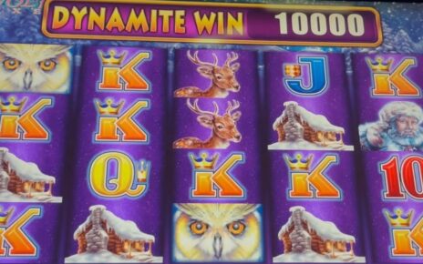 More Timberwolf Deluxe WINS? #slotman #casino #timberwolf