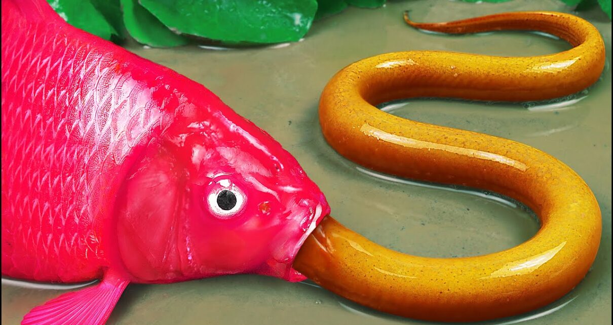Stop Motion ASMR | Colorful Carp Hunting Betrayed Eels in the Casino Under the Mud of Primordial Stop Motion ASMR | Colorful Carp Hunting Betrayed Eels in the Casino Under the Mud of Primordial