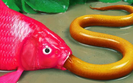 Stop Motion ASMR | Colorful Carp Hunting Betrayed Eels in the Casino Under the Mud of Primordial