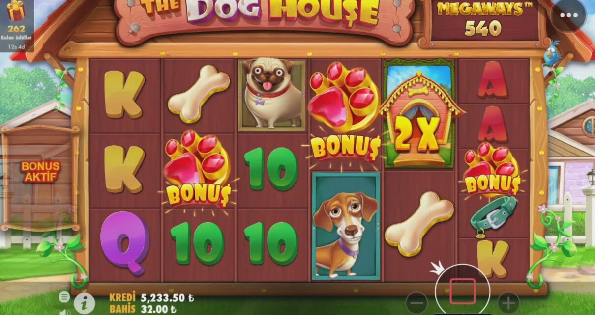 THE DOG HOUSE BU NASIL BİR FIRTINADIR ALDI GÖTÜRDÜ