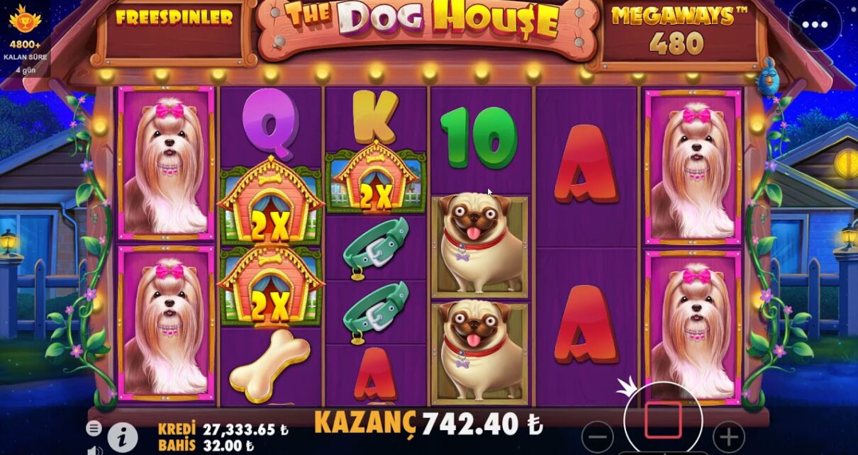 THE DOG HOUSE | İLK SİPİNDEN 30K İLE BAŞLADIK MUHTEŞEM KAZANÇ