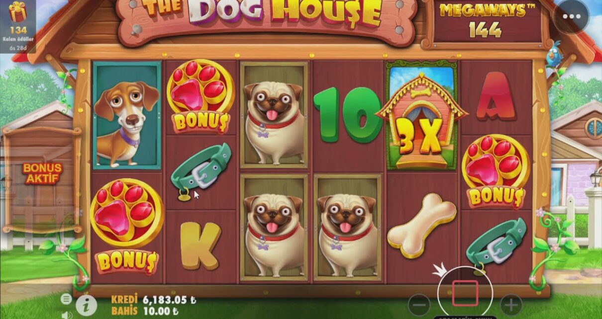 The Dog House MegaWays Nasıl Bonuslar Bunlar ??  #TheDogHouse #Slotoyunları #Casino