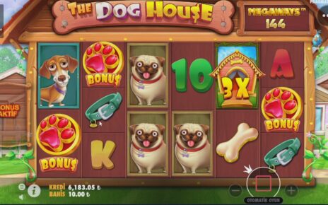 The Dog House MegaWays Nasıl Bonuslar Bunlar ??  #TheDogHouse #Slotoyunları #Casino