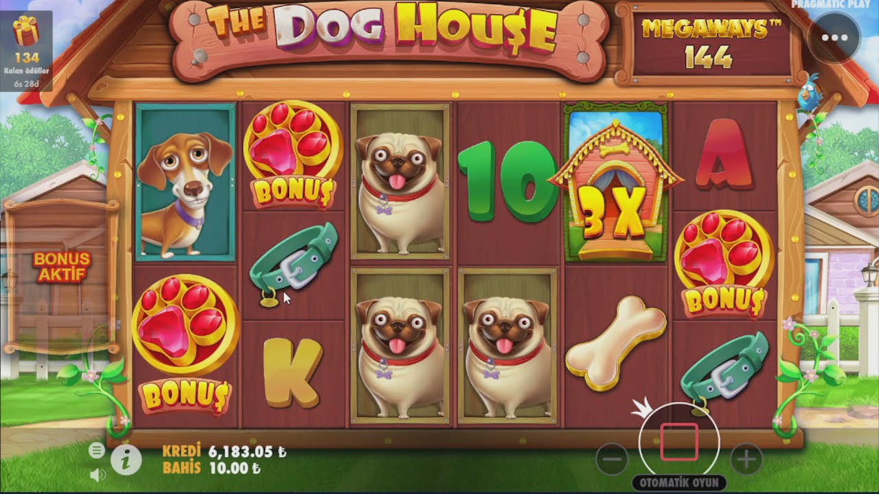 The Dog House MegaWays Nasıl Bonuslar Bunlar ??  #TheDogHouse #Slotoyunları #Casino