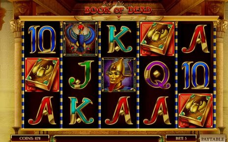 100€ Experiment im Online Casino bei Book of Dead mit Bonus Hanz