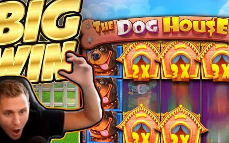 BIG WIN!!! Dog House BIG WIN – Casino Games played on CasinoDaddys stream