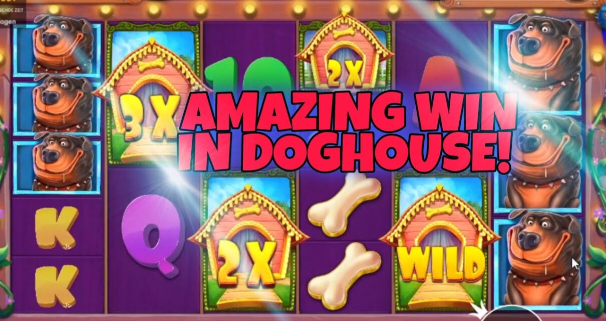 DOG HOUSE MEGAWAYS 1000X WIN!!?Online Casino Deutsch