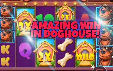 DOG HOUSE MEGAWAYS 1000X WIN!!?Online Casino Deutsch