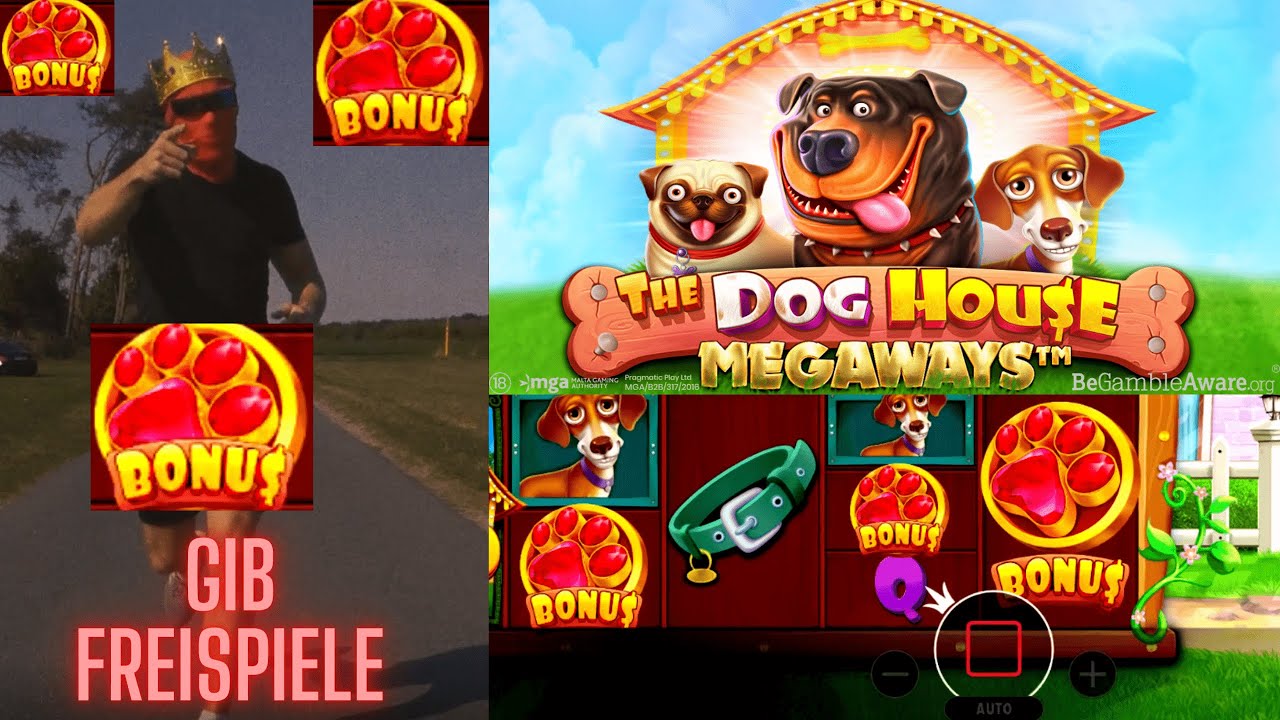 Online Casino Deutsch - 300€ Casino EXPERIMENT / Dog House Megaways Freispiel Jagd!!!