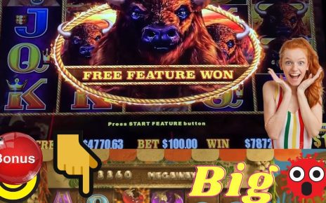 Online Casino Nie Gewinne Seriose Casino Spielen Automaten + 50 FS Bonus Ohne Einzahlung Mit Gewinn