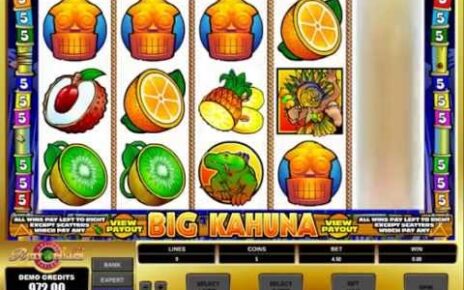 Online Casino Oyunları –   Big Kahuna Slot