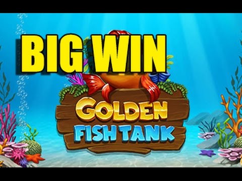 Online casino 1.75 euro bet HUGE WIN – Golden Fish Tank BIG WIN