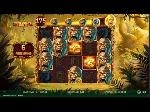 Silverback gold New slot from nettent. Big win in Russian online casino