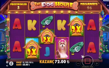 THE DOG HOUSE | ÇARPANLAR MÜKEMMELİĞİNİ KORUDU KAZANÇ YAKIŞTI  #thedoghouse #casino #slot