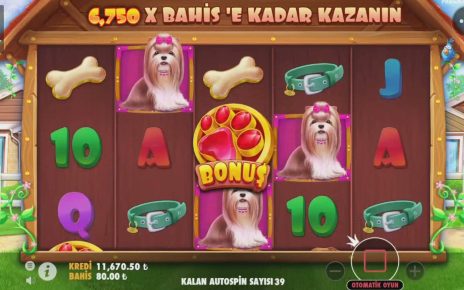 THE  DOG HOUSE REKOR KAZANÇ 1000X İLE GELDİ / İNTİKAM #Slot #Casino #TheDogHouse