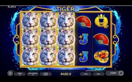 Water tiger. New slot from endorphina. Big win in Russian online casino