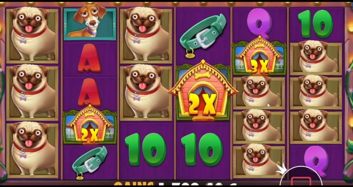 HIGHLIGHTS 2d ? TOP MEGA WINS IN ONLINE CASINO ? BEST SLOTS