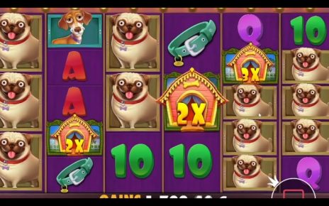 HIGHLIGHTS 2d ? TOP MEGA WINS IN ONLINE CASINO ? BEST SLOTS