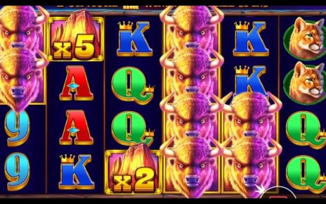 HIGHLIGHTS minute ? TOP MEGA WINS IN ONLINE CASINO ? BEST SLOTS