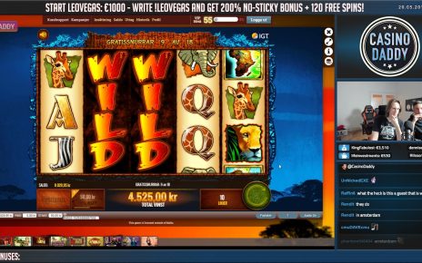 BIG WIN!!! Wild Life BIG WIN – Online Slots – Casino (gambling)