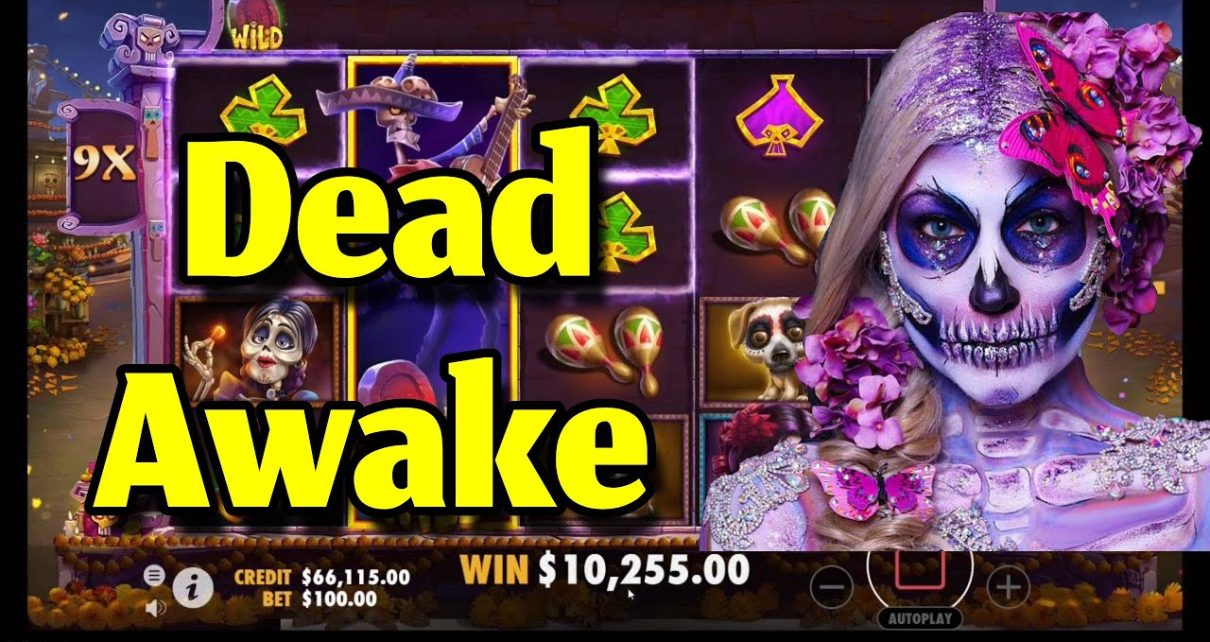 DAY OF DEAD BIG WIN ?☠? Many Bonuses Pragmatic online casino
