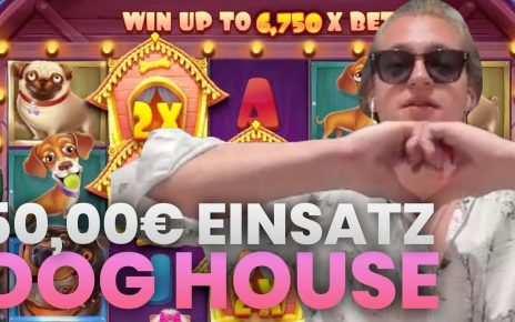 DOG HOUSE LIEBE ICH AUCH ?? || Ron Bielecki Casino Highlights