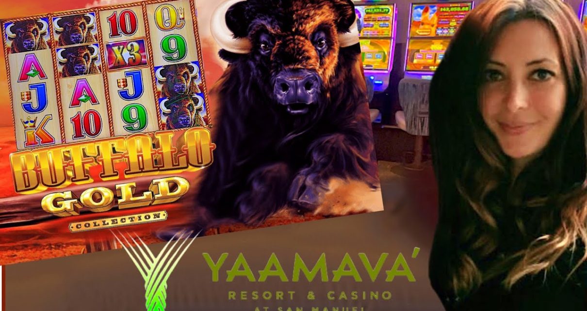 FINALLY A BEAUTIFUL RUN ON BUFFALO ? @Yaamava' Resort & Casino