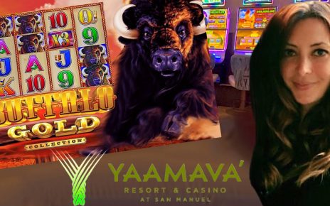 FINALLY A BEAUTIFUL RUN ON BUFFALO ? @Yaamava' Resort & Casino