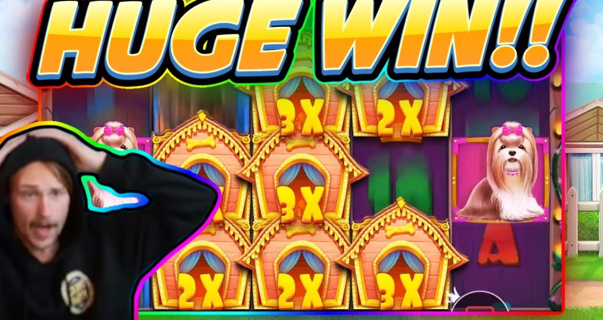 HUGE WIN!!! Dog House BIG WIN – Casino game from CasinoDaddy Live Stream