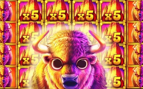 Mega win in buffalo king megaways. Big win in online casino