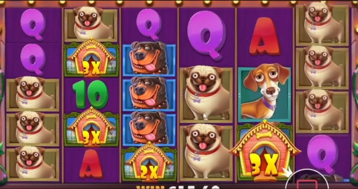 THE DOG HOUSE ? TOP MEGA WINS OF THE WEEK ? BEST ONLINE CASINO SLOTS