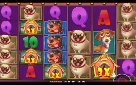 THE DOG HOUSE ? TOP MEGA WINS OF THE WEEK ? BEST ONLINE CASINO SLOTS