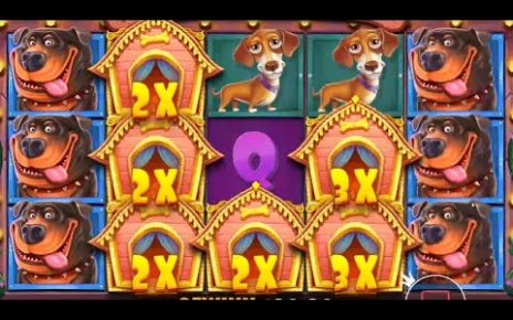 DAILY TOP MEGA WINS IN ONLINE CASINO ? BEST SLOTS ? HIGHLIGHTS minute