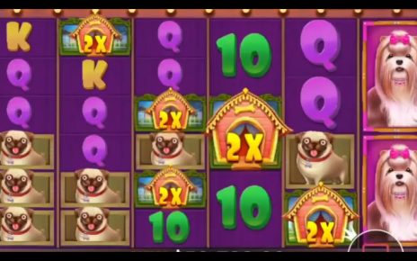 HIGHLIGHTS instant ? TOP MEGA WINS IN ONLINE CASINO ? BEST SLOTS