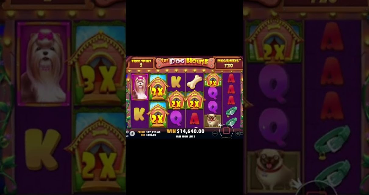 The Dog House Megaways ?Amazing WIN Bonus Buy | Free Spins Online Casino Slot Game