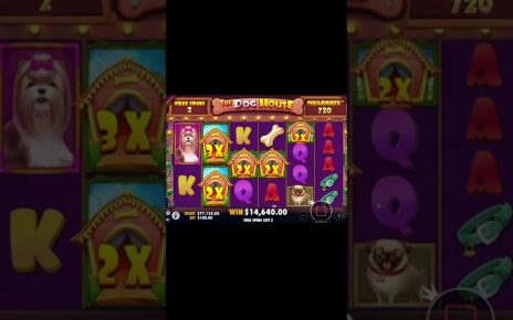 The Dog House Megaways ?Amazing WIN Bonus Buy | Free Spins Online Casino Slot Game#1