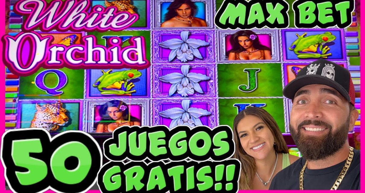 ?50 JUEGOS GRATIS! APUESTAS MAXIMAS EN HARD stone CASINO AC