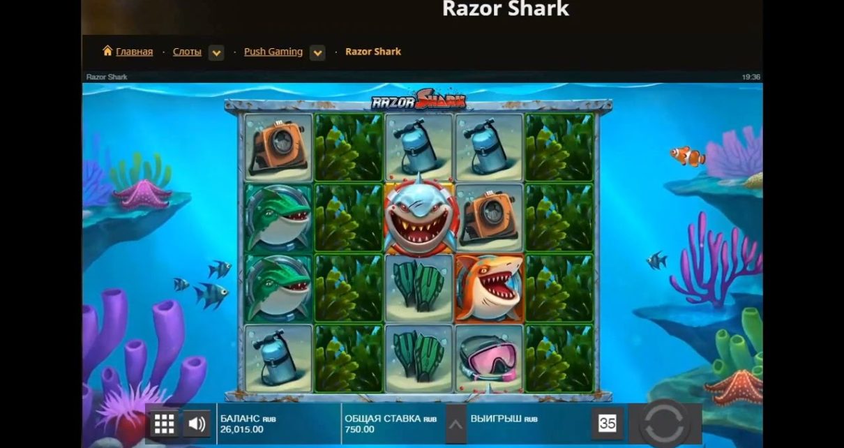 Beautiful game of razor shark / big win in Russian online casino