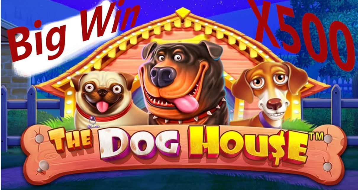 BigWin(X500) in The Dog House. Online casino 2022