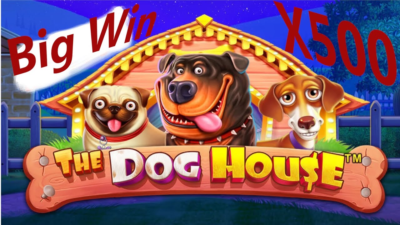 BigWin(X500) in The Dog House. Online casino 2022