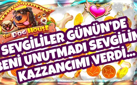 DOG HOUSE | 4 BONUS İLE BAŞLANGIÇ UĞURLU GELDİ KASAMIZI UCURDUKK  #thedoghouse #casino #slot