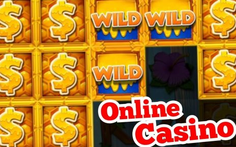 Klasse ? Online Casino Spiel WILD SWARM angezockt | Merkur Magie | best Slot win