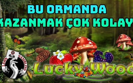 #LuckyWood'da Şans Bizden Yana Oldu! – Leon Gambling #slot #casino #slotoyunları #egt #egtoyunları