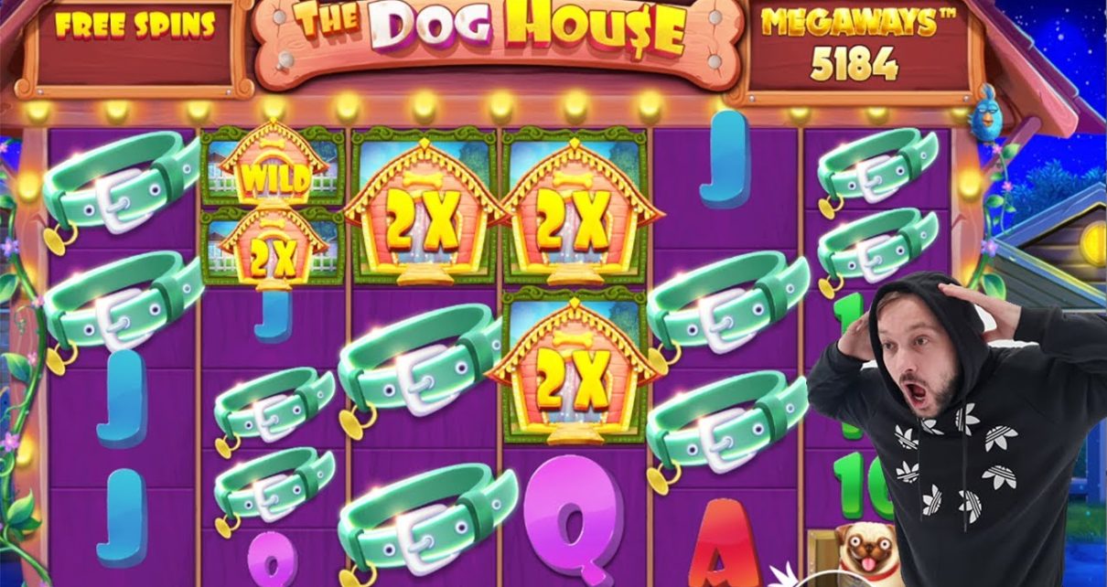 The Dog House Megaways ?Amazing WIN  Bonus Buy | Free Spins Online Casino Slot Game (world tape)