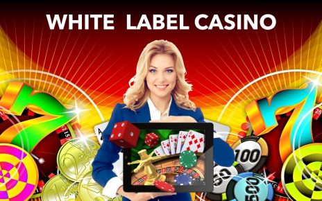 White Label Casino – How To Start Online Casino iGaming Business apace