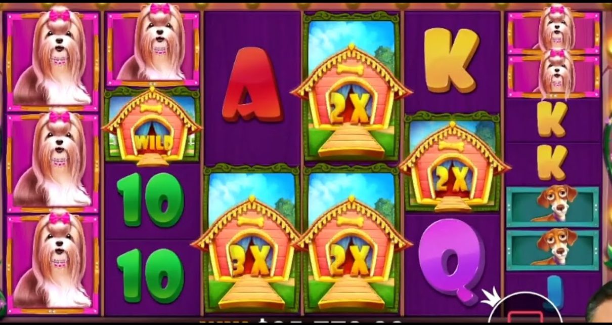 DAILY TOP MEGA WINS IN ONLINE CASINO ? BEST SLOTS ? HIGHLIGHTS instant DAILY TOP MEGA WINS IN ONLINE CASINO ? BEST SLOTS ? HIGHLIGHTS instant
