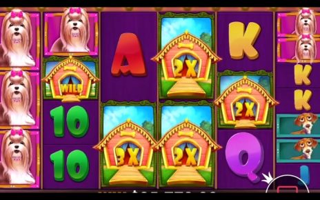 DAILY TOP MEGA WINS IN ONLINE CASINO ? BEST SLOTS ? HIGHLIGHTS instant