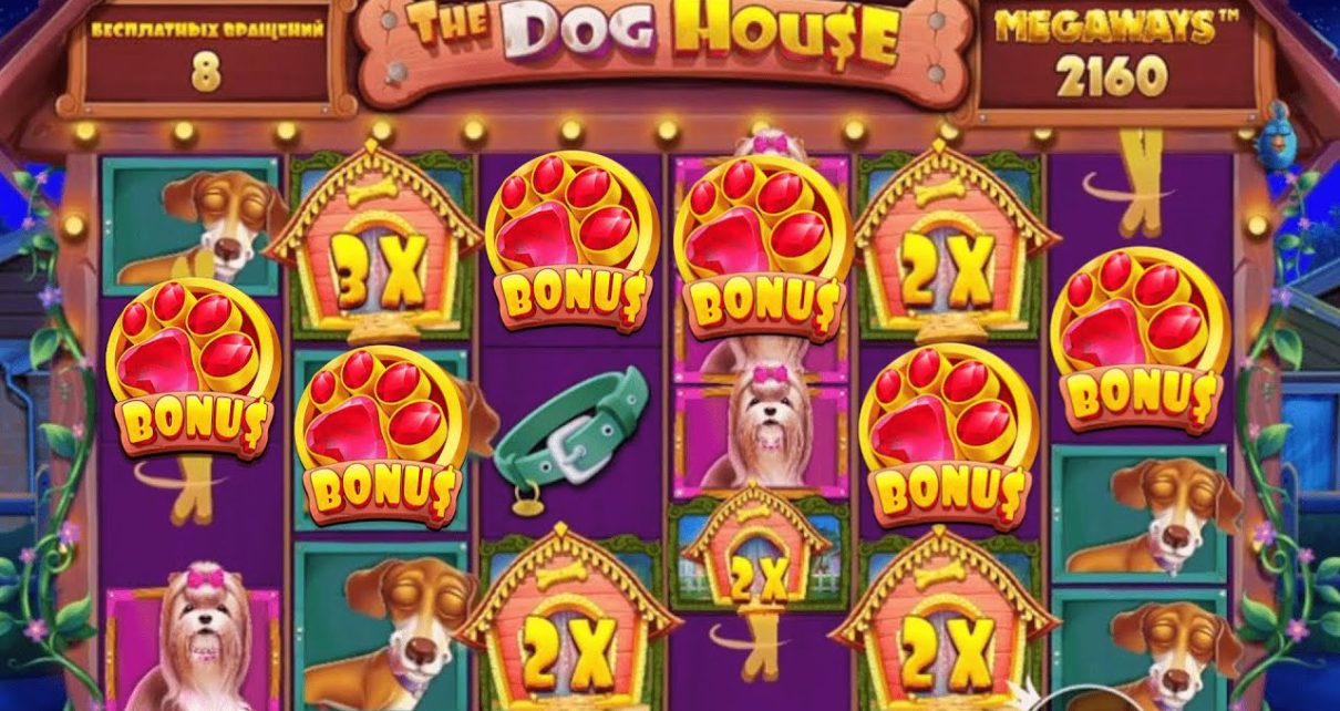 Big Win in The dog house megaways. Online casino 2022